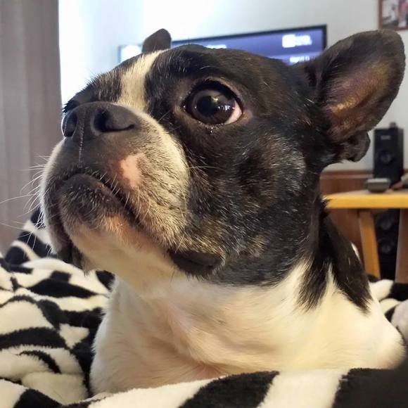 Meet your Posher, Rachel - Picture 1 of 1